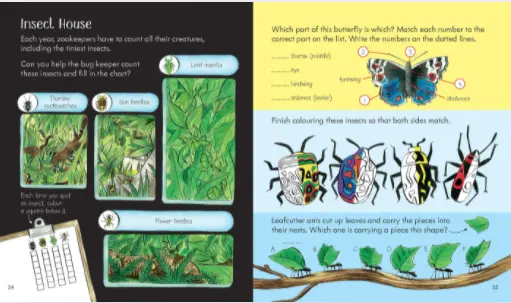 Little children´s  Zoo activity book