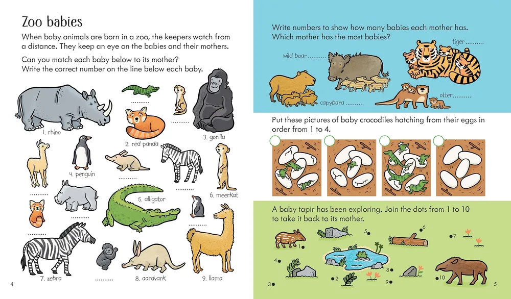 Little children´s  Zoo activity book
