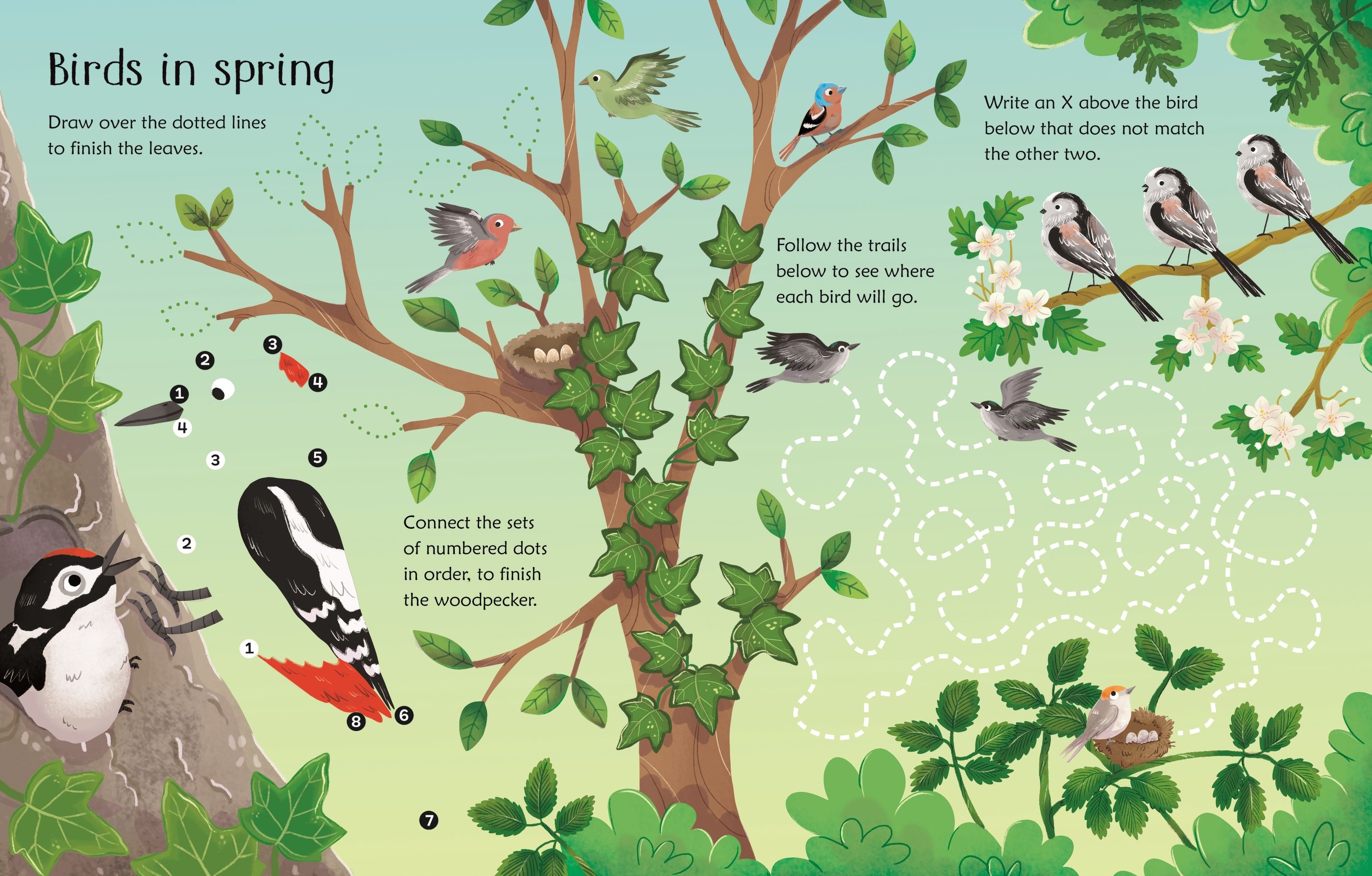 Wipe-clean Woodland activities