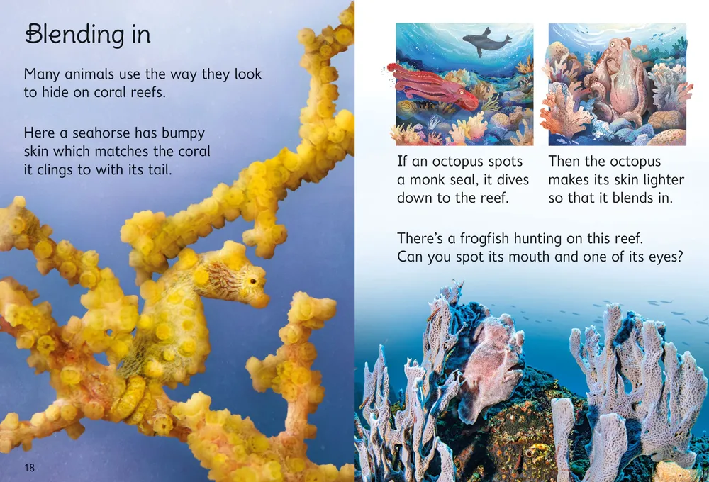 Beginners Coral Reefs
