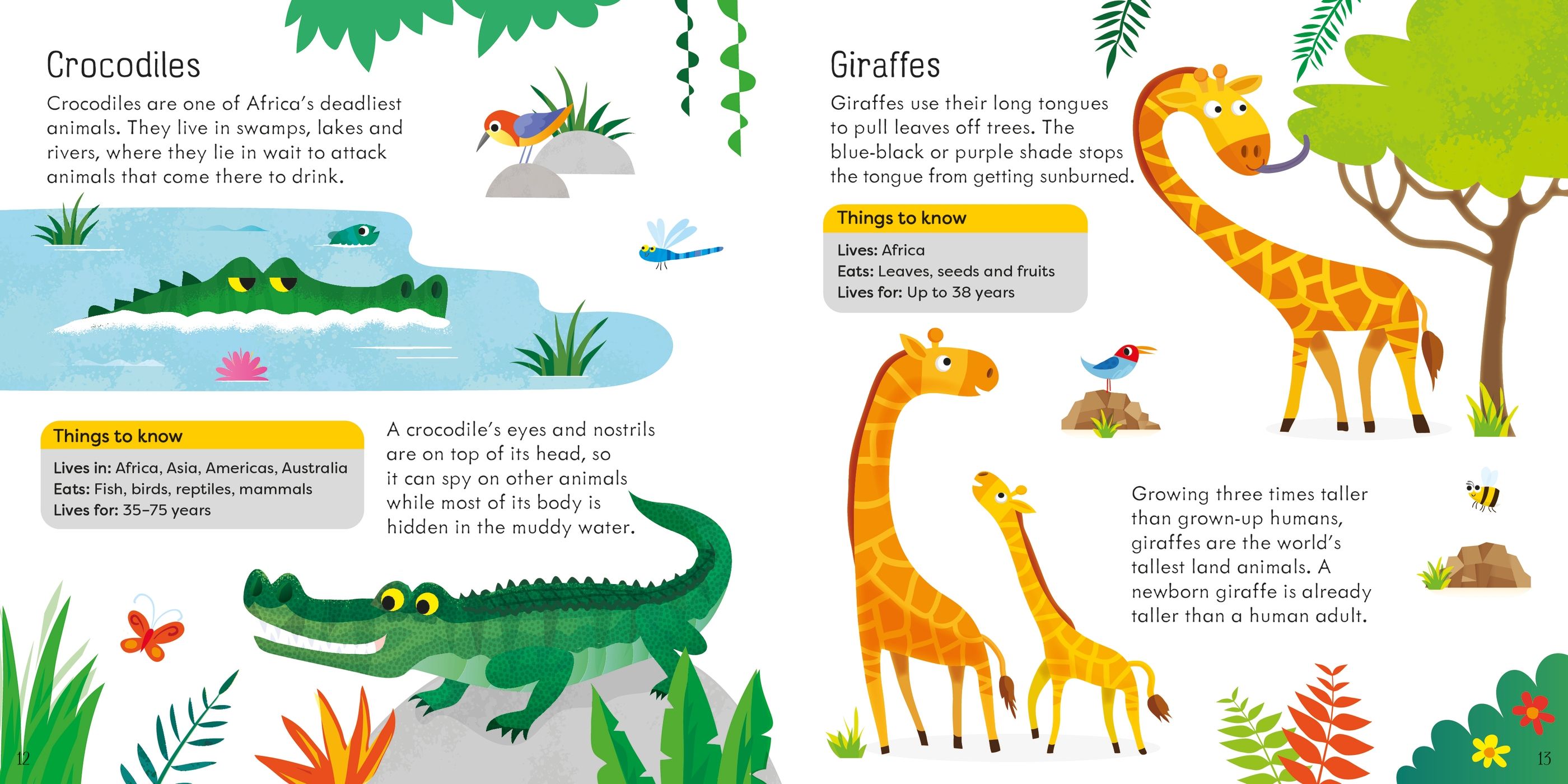 LUDO Board Game Animals
