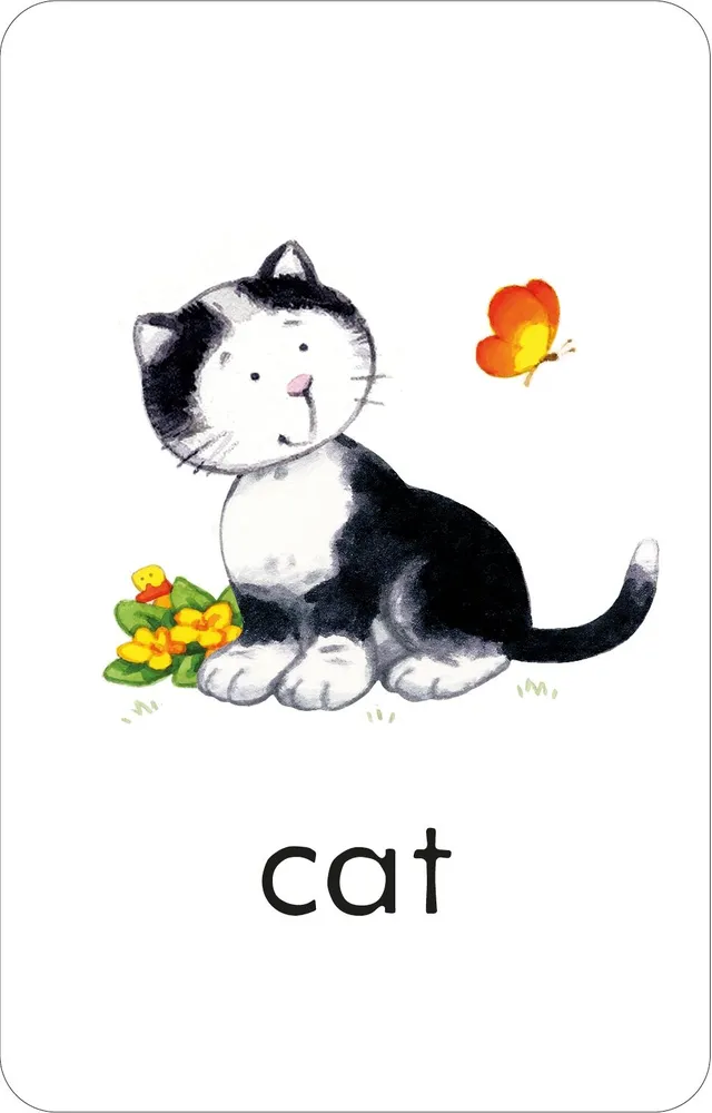 Poppy and sam flashcards first words